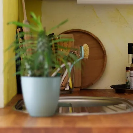Souterrainwohnung mit großem Garten und Sauna Kassel Exterior foto