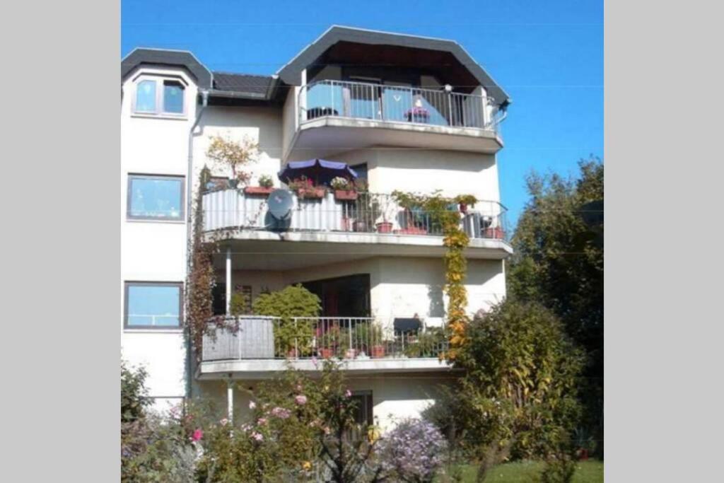 Apartment Souterrainwohnung Mit Großem Garten Und Sauna Kassel