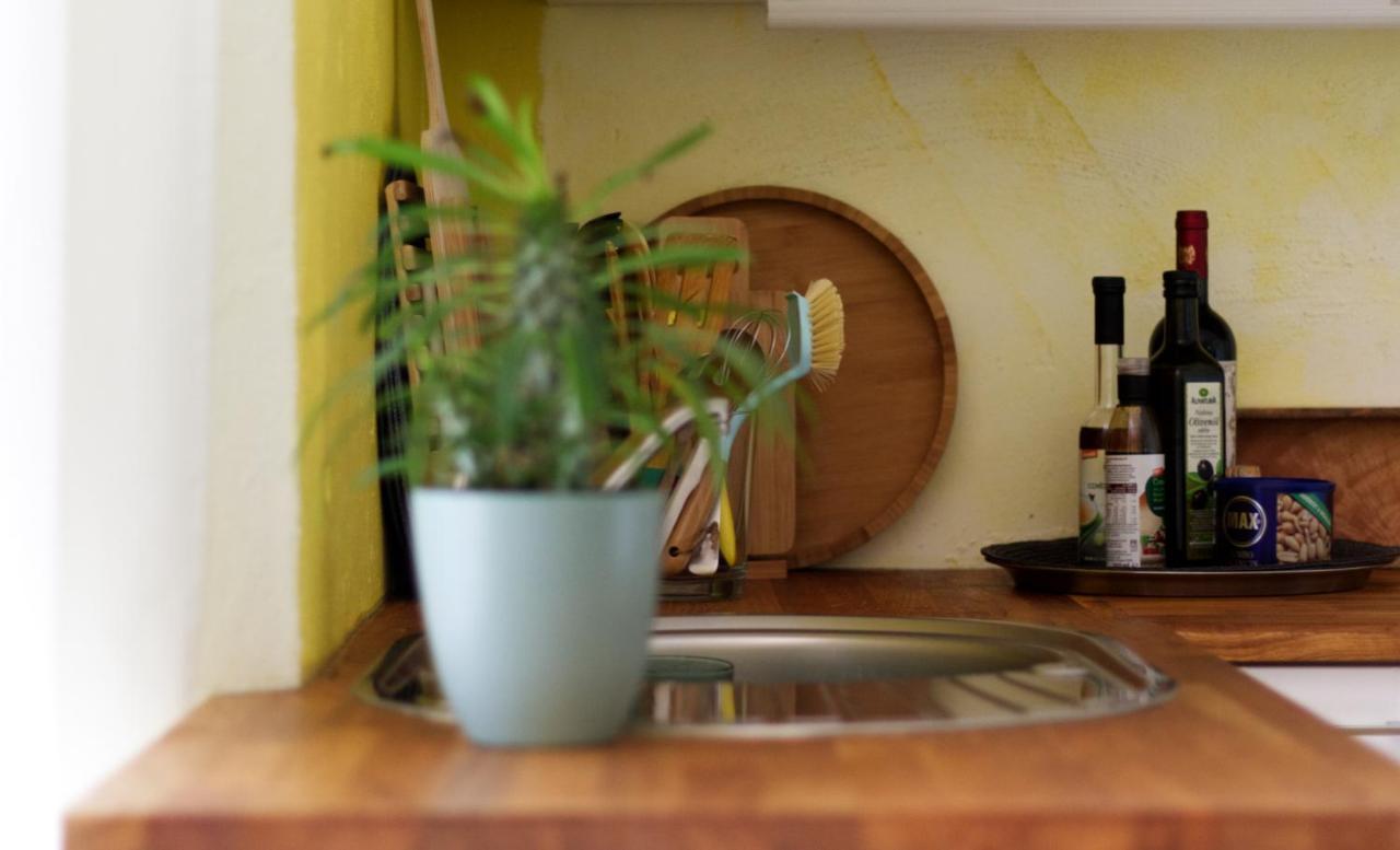 Apartment Souterrainwohnung Mit Großem Garten Und Sauna *