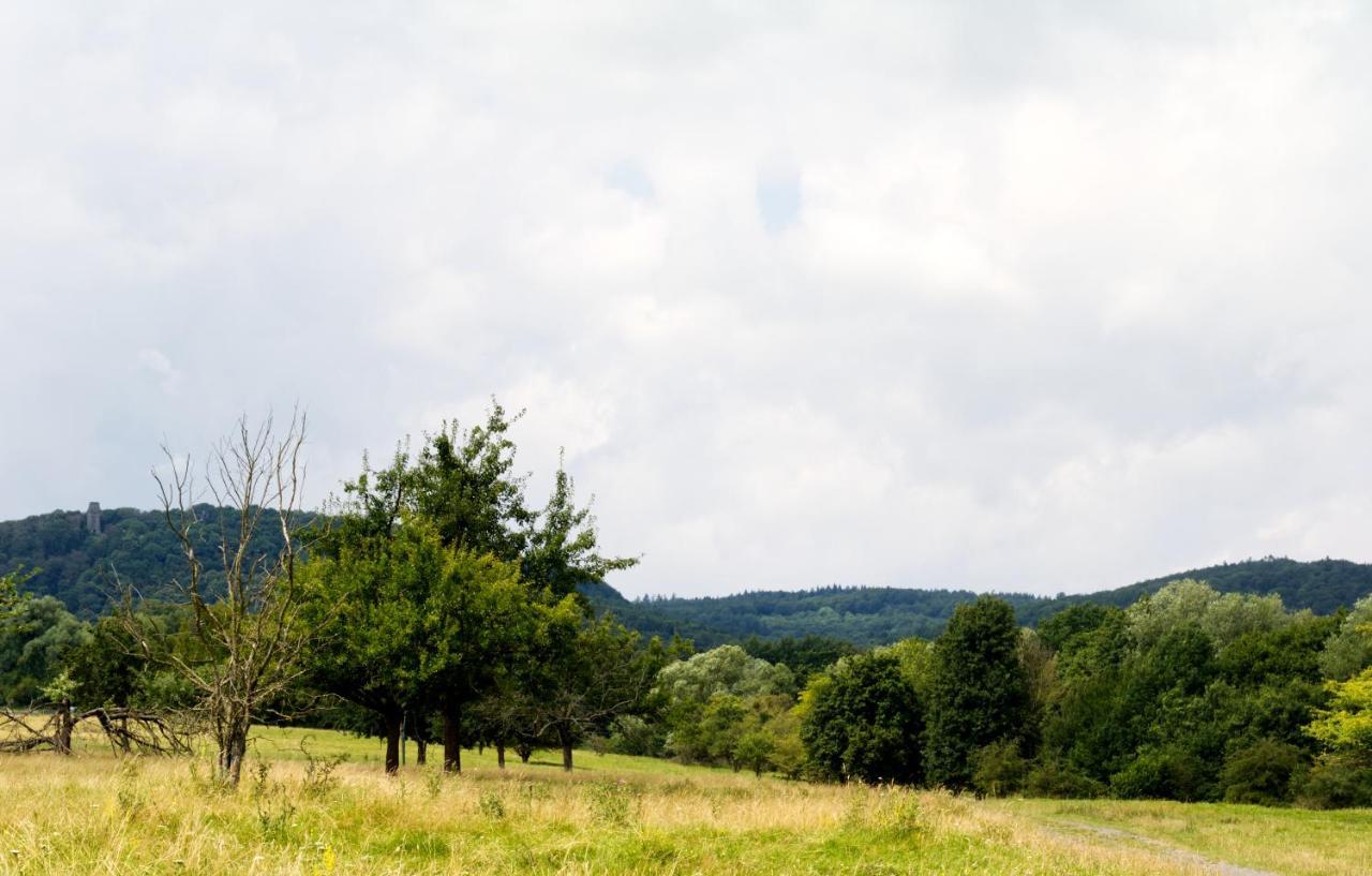 Souterrainwohnung Mit Großem Garten Und Sauna Apartment Kassel